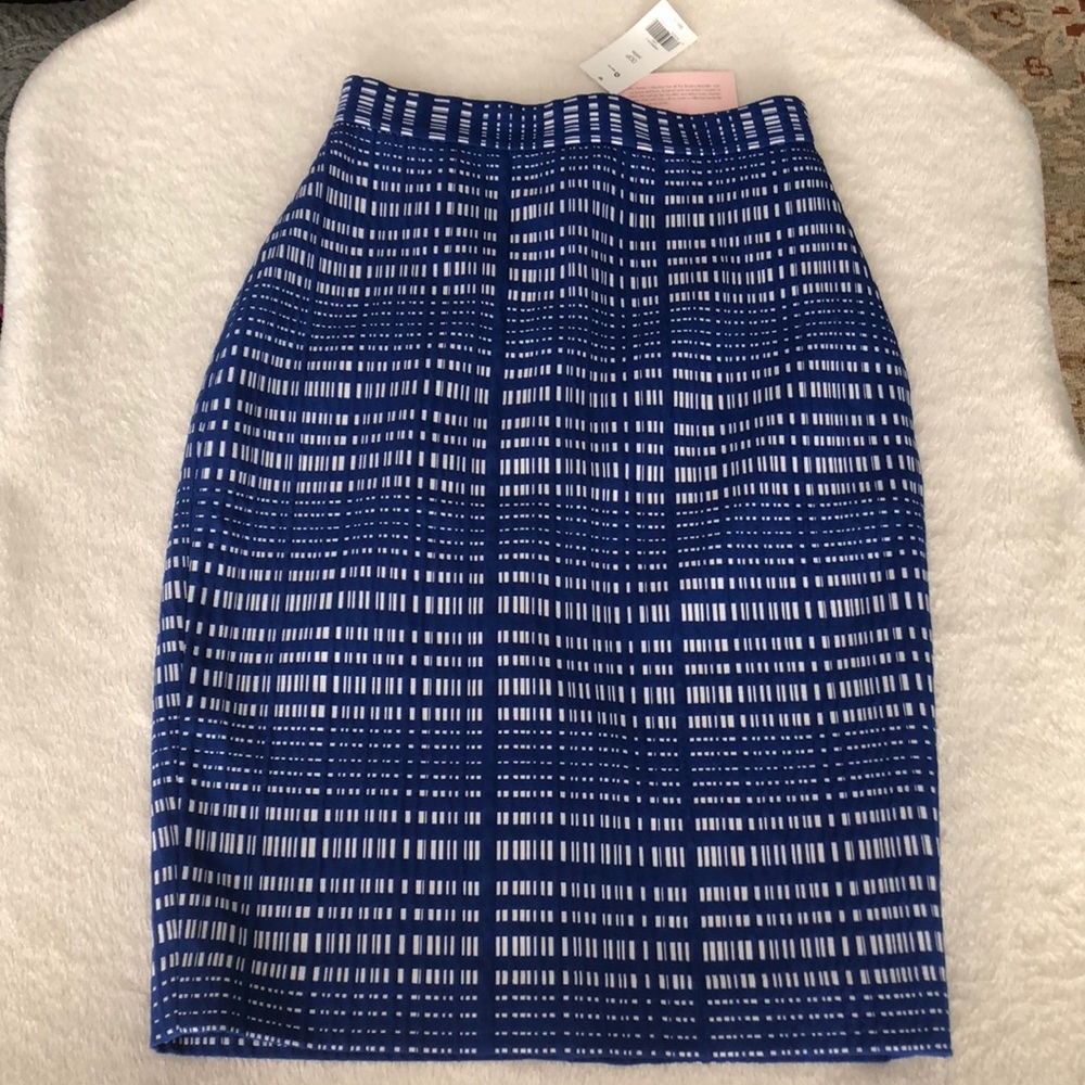 Banana Republic Pencil Skirt
